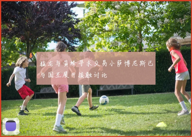 猛龙与黄蜂寻求交易小萨博尼斯已与国王展开接触讨论