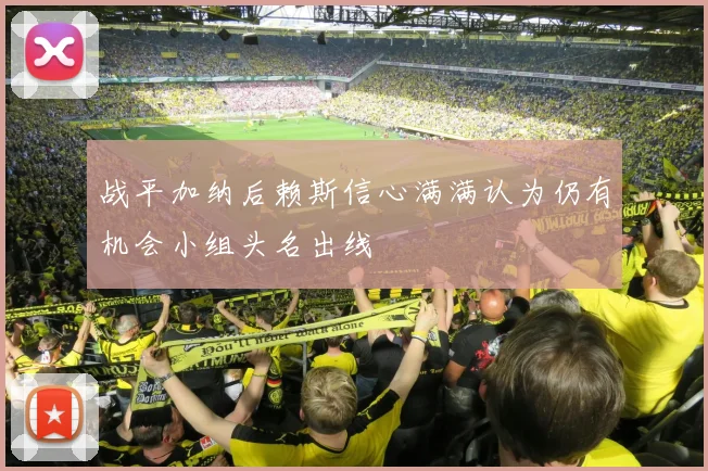 战平加纳后赖斯信心满满认为仍有机会小组头名出线